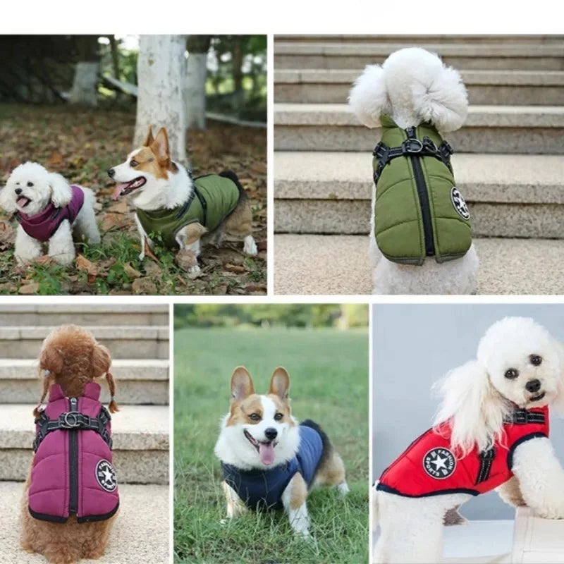 Waterproof Dog Coat with Built-In Harness